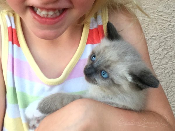 Child holding kitten