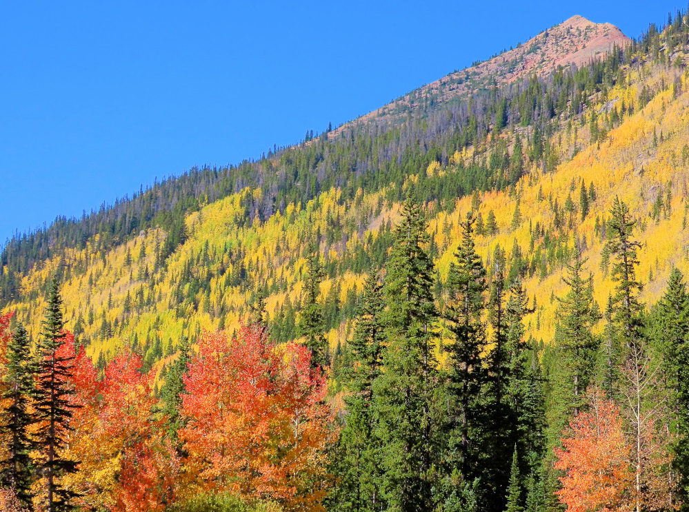 Mountain sings and trees clap