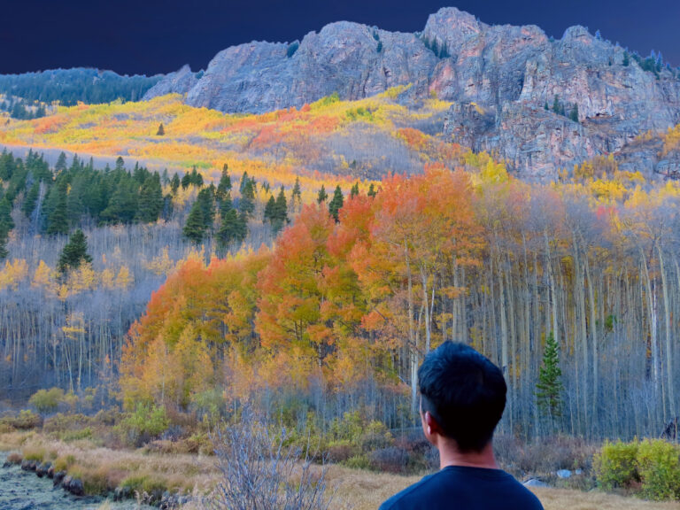 Person delighting in a scene where trees clap and mountains sing