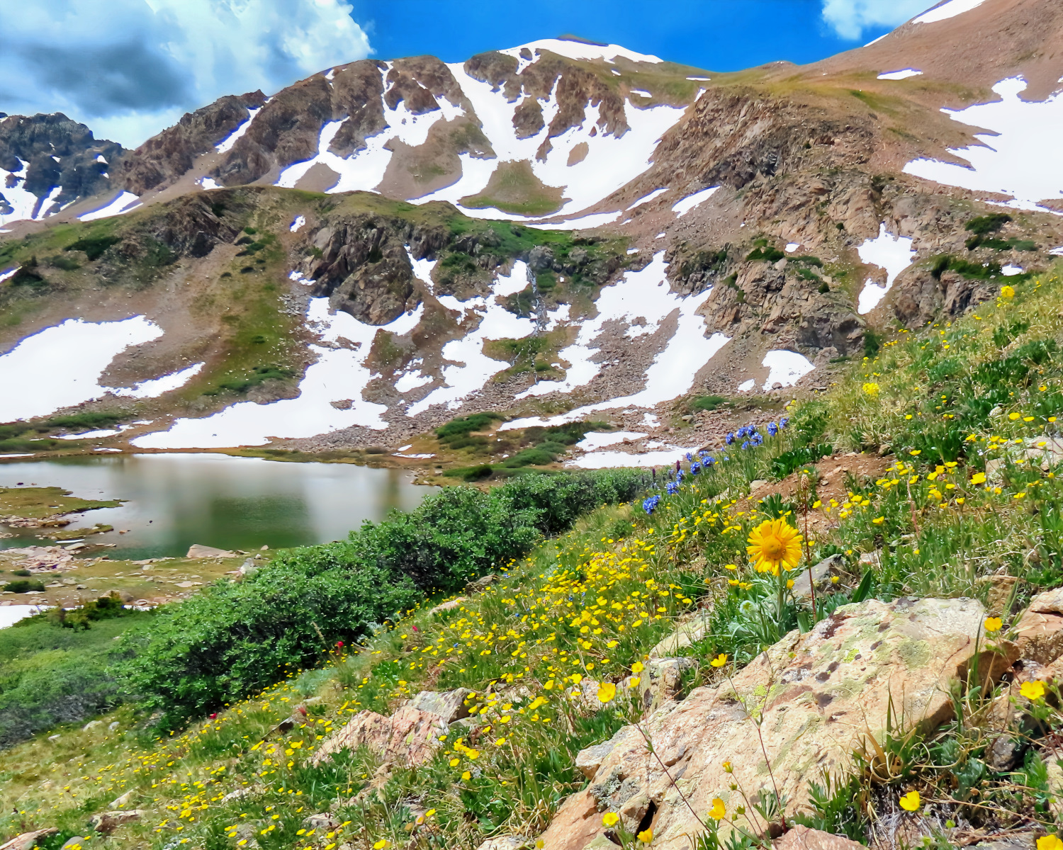 The high mountains are a metaphor for the dwelling place of God